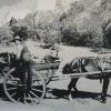 Delivering food to the Gully, Katoomba